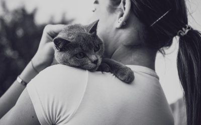 Relacja z psem, kotem… Dlaczego strata zwierzęcia boli tak bardzo?