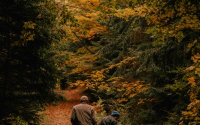 Jak wspierać siebie i rodzinę w żałobie po zwierzaku?